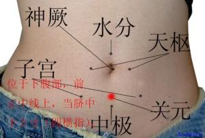 點(diǎn)擊將在新窗口查看全圖 五種肥胖的中醫艾灸減肥新方法【附圖文】