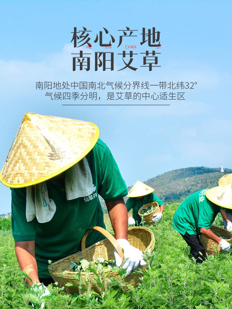 600g艾草艾葉 端午采摘袋裝南陽(yáng)艾草葉干艾葉泡腳艾草包廠(chǎng)家批發(fā)